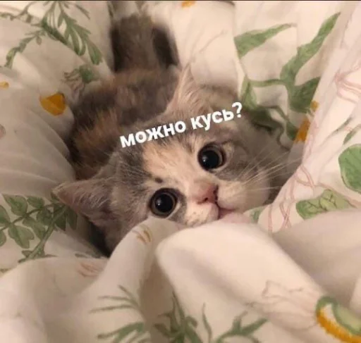 Стикер из набора я люблю тебя!! для Телеграм: Статические ❤️