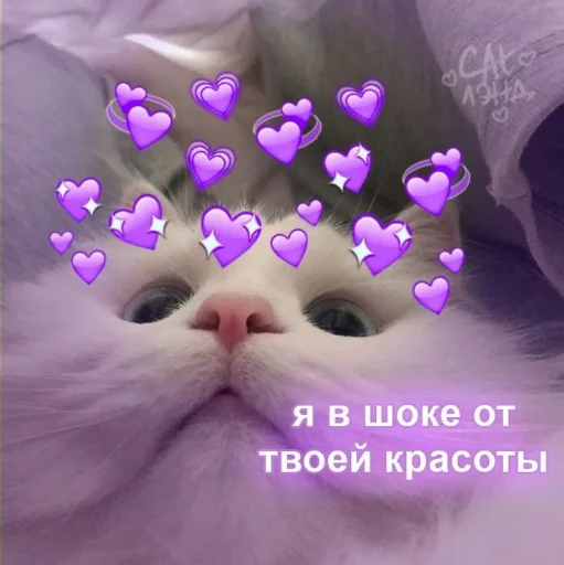 Стикер из набора я люблю тебя!! для Телеграм: Статические ❤️