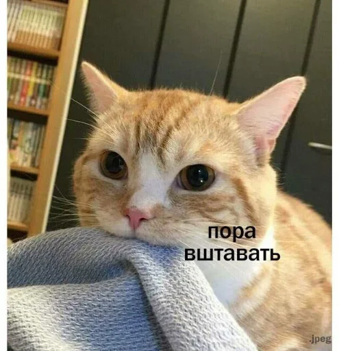 Стикер из набора я люблю тебя!! для Телеграм: Статические ❤️