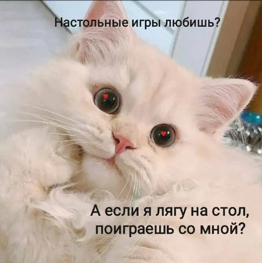 Стикер из набора я люблю тебя!! для Телеграм: Статические ❤️