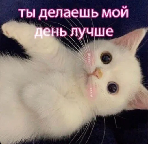 Стикер из набора я люблю тебя!! для Телеграм: Статические ❤️