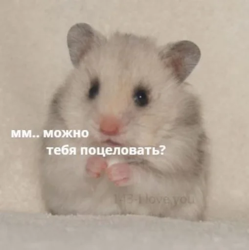 Стикер из набора я люблю тебя!! для Телеграм: Статические ❤️