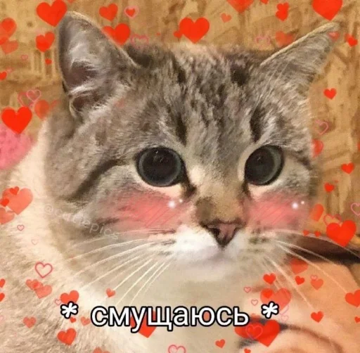 Стикер из набора я люблю тебя!! для Телеграм: Статические ❤️