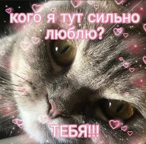 Стикер из набора я люблю тебя!! для Телеграм: Статические ❤️