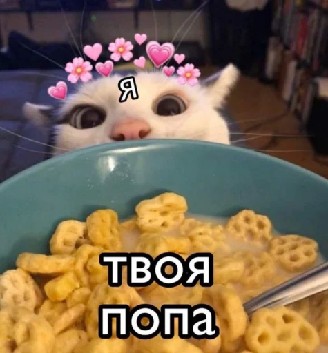 Стикер из набора я люблю тебя!! для Телеграм: Статические ❤️