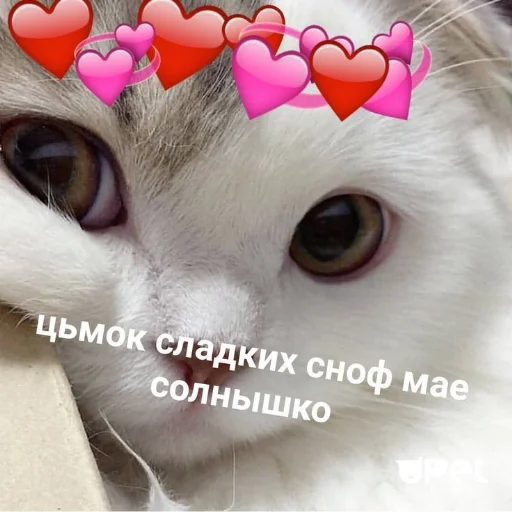 Стикер из набора я люблю тебя!! для Телеграм: Статические ❤