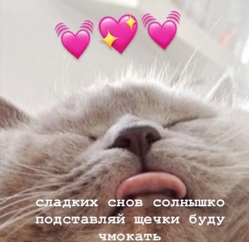 Стикер из набора я люблю тебя!! для Телеграм: Статические ❤️
