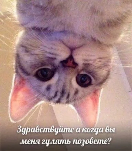 Стикер из набора я люблю тебя!! для Телеграм: Статические ❤️