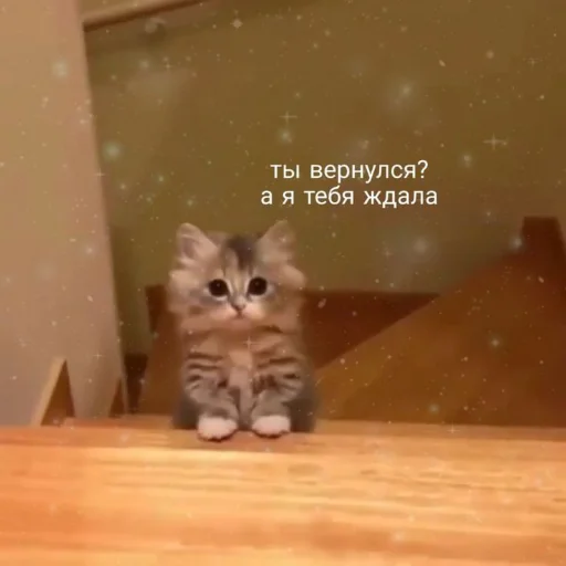 Стикер из набора я люблю тебя!! для Телеграм: Статические ❤️