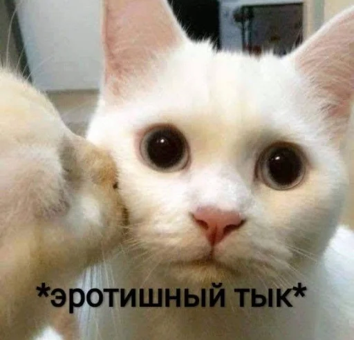 Стикер из набора я люблю тебя!! для Телеграм: Статические ❤️