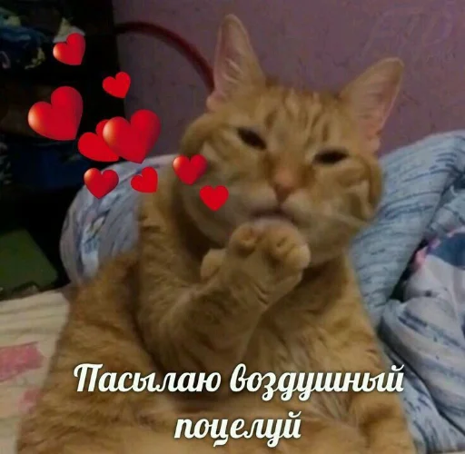 Стикер из набора я люблю тебя!! для Телеграм: Статические ❤️
