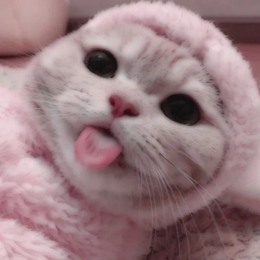 Стикер из набора . soft cat by @stickernct для Телеграм: Статические 🐈