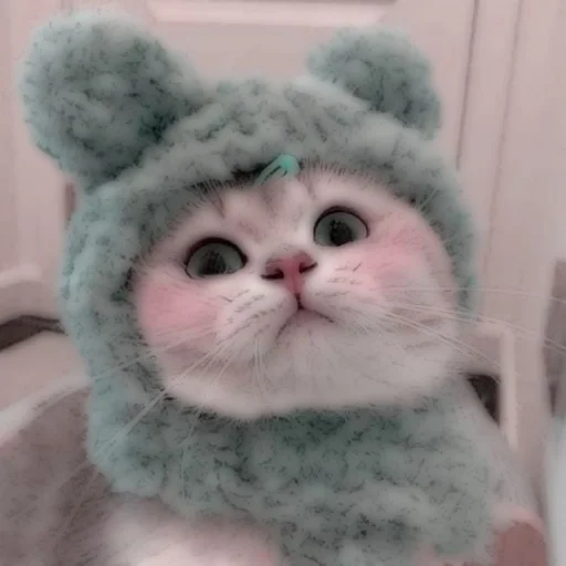 Стикер из набора . soft cat by @stickernct для Телеграм: Статические 🐈