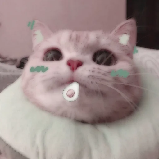 Стикер из набора . soft cat by @stickernct для Телеграм: Статические 🐈