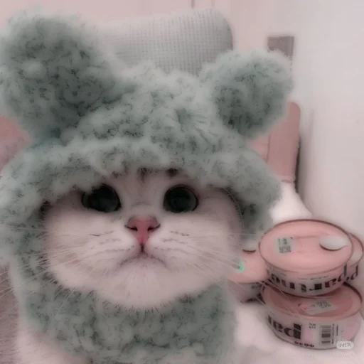 Стикер из набора . soft cat by @stickernct для Телеграм: Статические 🐈
