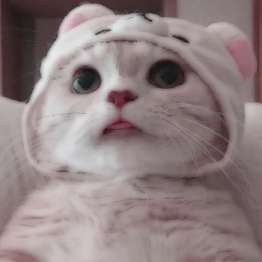 Стикер из набора . soft cat by @stickernct для Телеграм: Статические 🐈