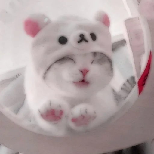 Стикер из набора . soft cat by @stickernct для Телеграм: Статические 🐈