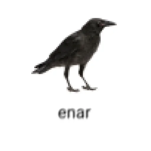 Стикер из набора ин зе билдинг для Телеграм: Статические 🐦⬛️