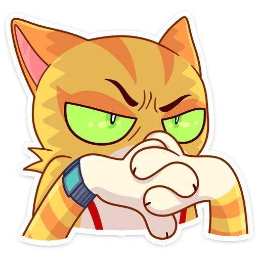 Стикер из набора Котик Ирвин :: @stickroom для Телеграм: Статические 😡