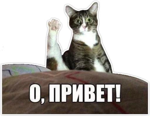 Стикер из набора isarooted для Телеграм: Статические 👻