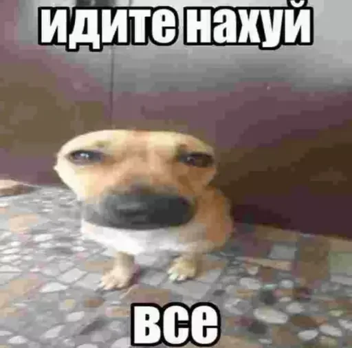 Стикер из набора @isaatsu bullshit moment 2 для Телеграм: Статические 🤬