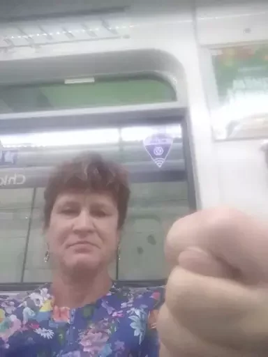 Стикер из набора @isaatsu bullshit moment 2 для Телеграм: Статические 🖕