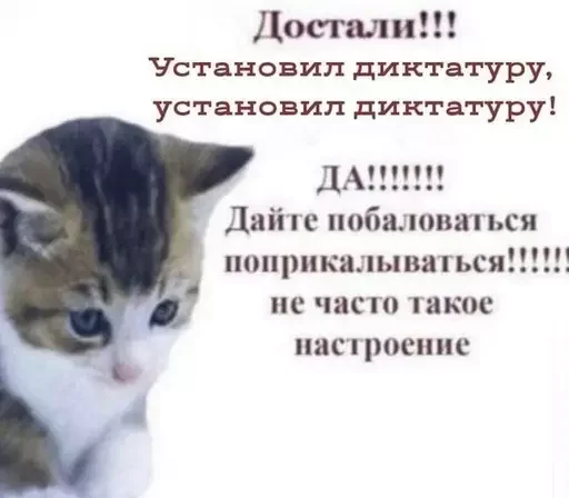 Стикер из набора @isaatsu bullshit moment 2 для Телеграм: Статические 🥺