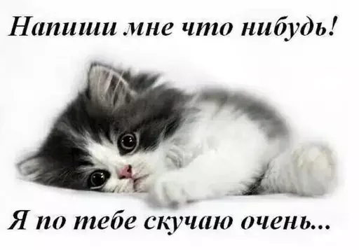 Стикер из набора @isaatsu bullshit moment 2 для Телеграм: Статические 🥺