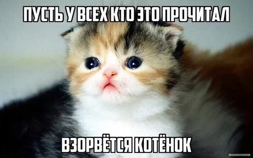 Стикер из набора @isaatsu bullshit moment 2 для Телеграм: Статические 😧