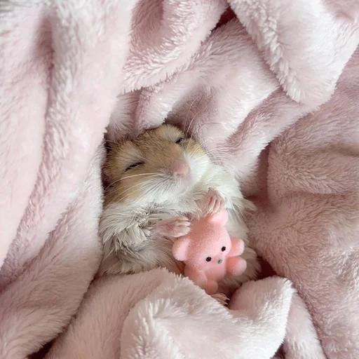 Стикер из набора 眩 для Телеграм: Статические 😴