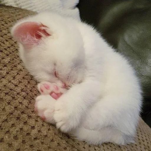 Стикер из набора 眩 для Телеграм: Статические 😴