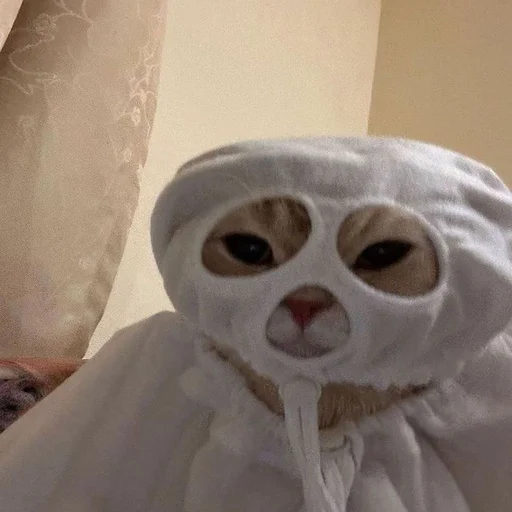 Стикер из набора 眩 для Телеграм: Статические 👻