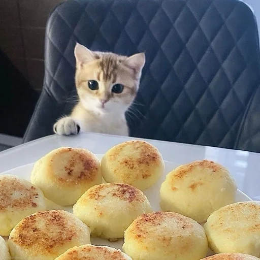 Стикер из набора 眩 для Телеграм: Статические 😍