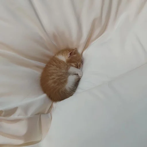 Стикер из набора 眩 для Телеграм: Статические 😴