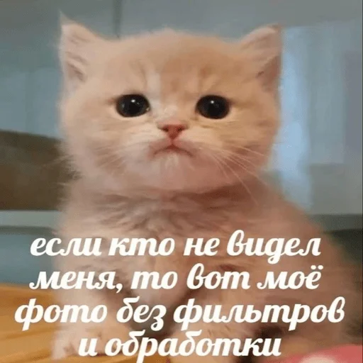 Стикер из набора 眩 для Телеграм: Статические ✨