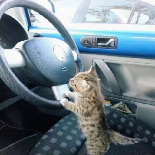 Стикер из набора 眩 для Телеграм: Статические 🚗