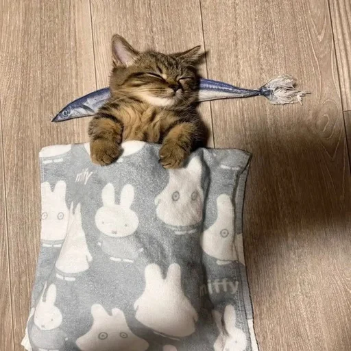 Стикер из набора 眩 для Телеграм: Статические 😴