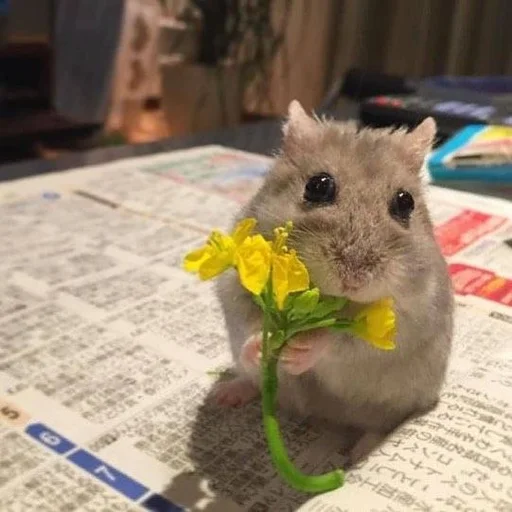 Стикер из набора 眩 для Телеграм: Статические 💐