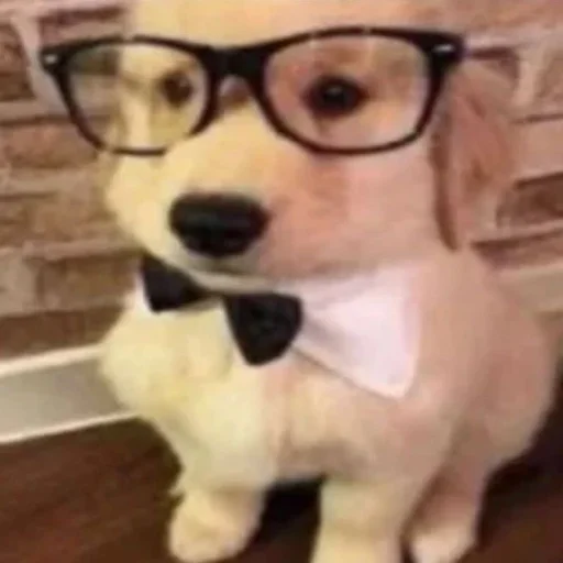 Стикер из набора 眩 для Телеграм: Статические 🤓