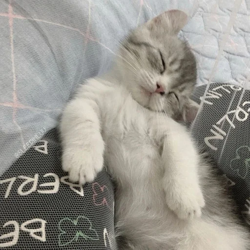 Стикер из набора 眩 для Телеграм: Статические 😴