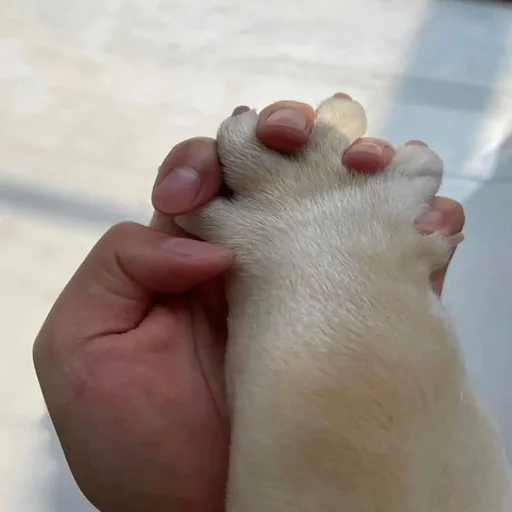 Стикер из набора 眩 для Телеграм: Статические 💕