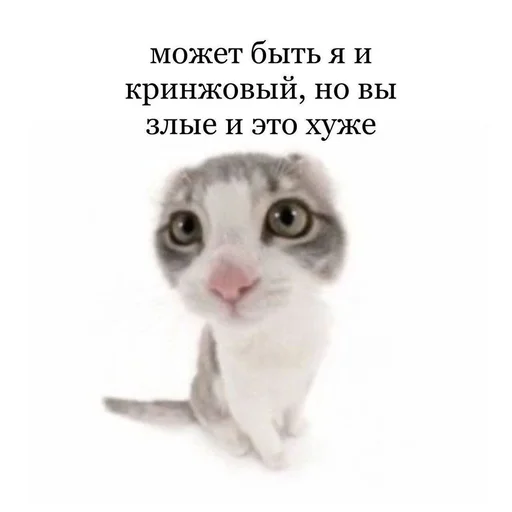 Стикер из набора 眩 для Телеграм: Статические 😋