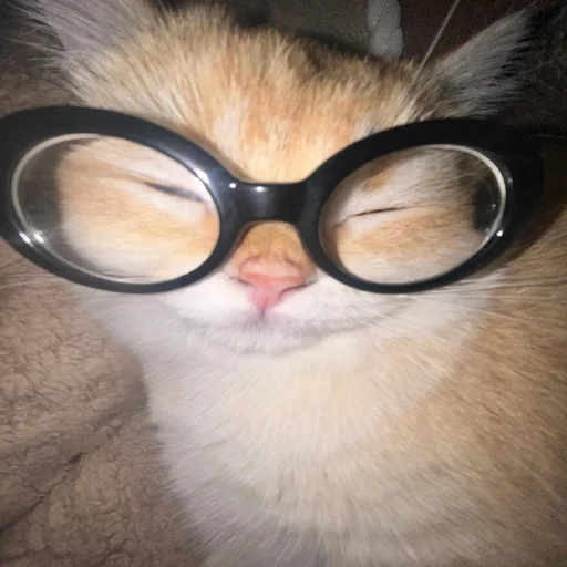 Стикер из набора 眩 для Телеграм: Статические 🤓