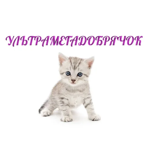 Стикер из набора 眩 для Телеграм: Статические 😊