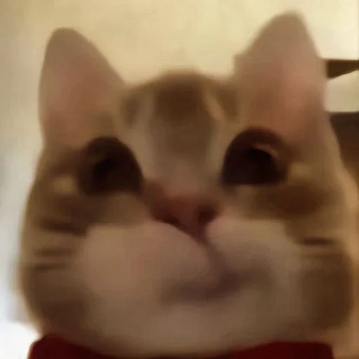 Стикер из набора 眩 для Телеграм: Статические 😬