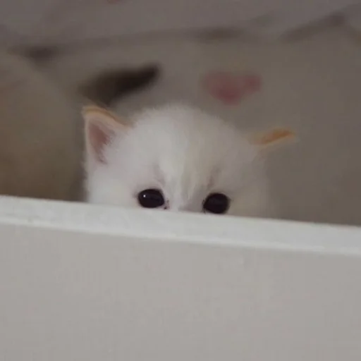 Стикер из набора 眩 для Телеграм: Статические 👀