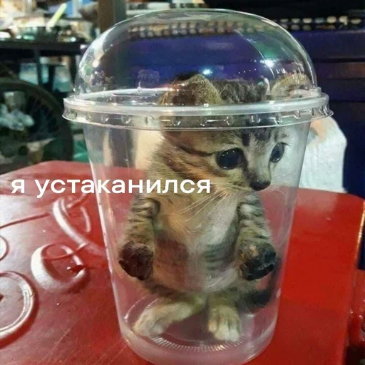 Стикер из набора 眩 для Телеграм: Статические 😇