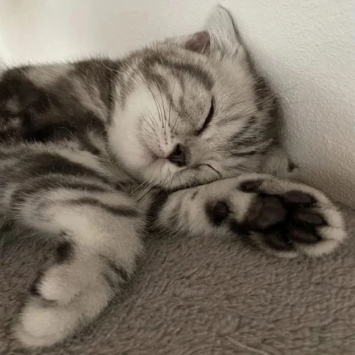 Стикер из набора 眩 для Телеграм: Статические 😴