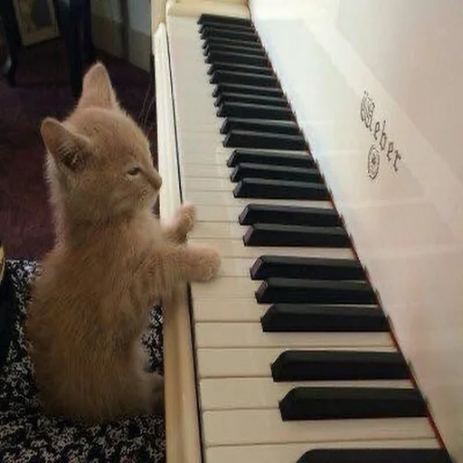 Стикер из набора 眩 для Телеграм: Статические 🎹