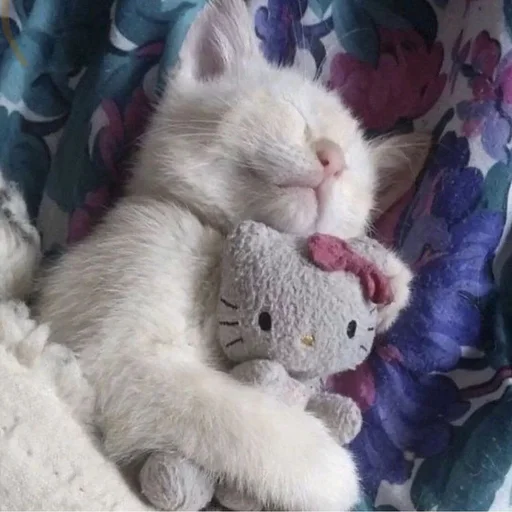 Стикер из набора 眩 для Телеграм: Статические 😴